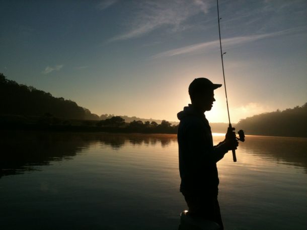 WAECO photo comp entries